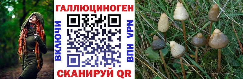 закладка Красный Кут Галлюциногенные грибы GOLDEN TEACHER